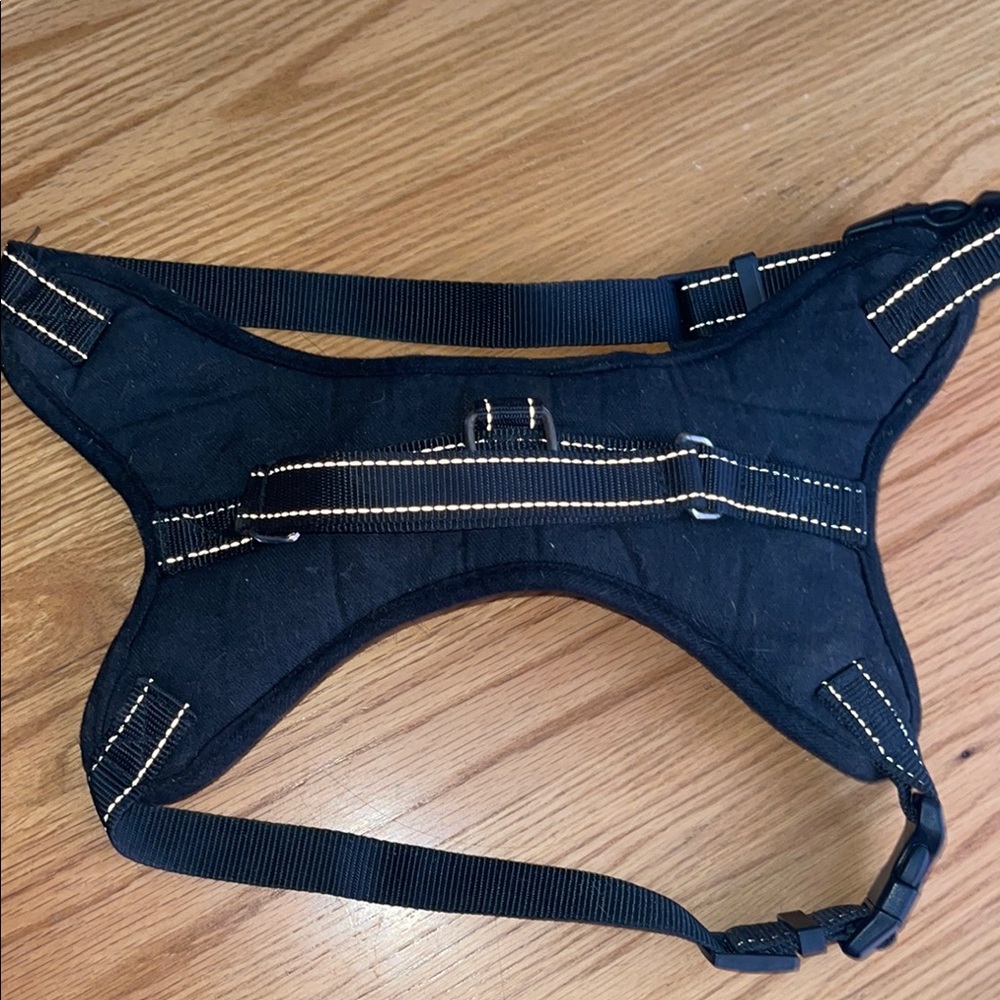 Black Dog XLHarness with control handle
